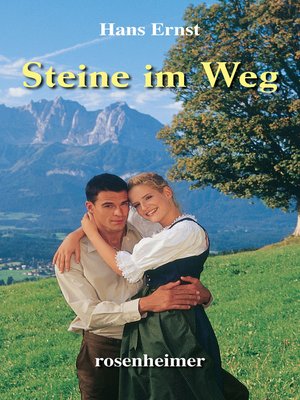cover image of Steine im Weg